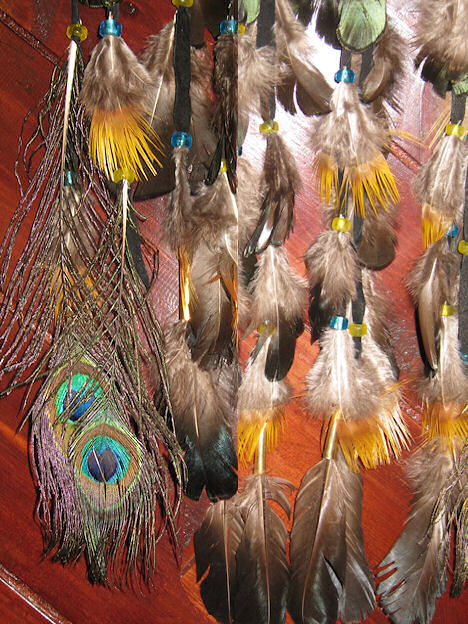 detail of macaw feathers on dream catcher