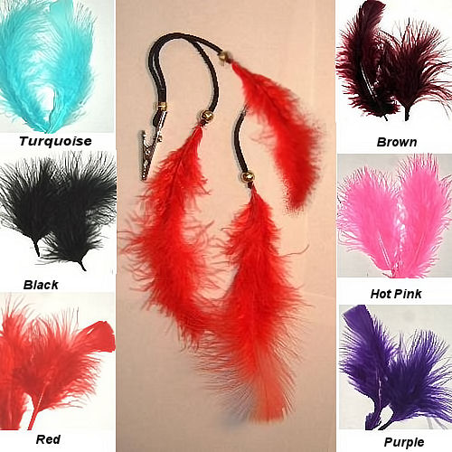 feather clips in assorted colors