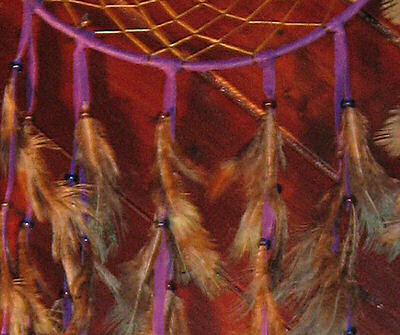 detail of pheasant feathers in dreamcatcher