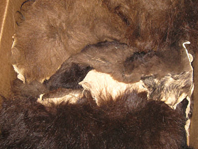 buffalo fur scraps