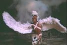 Cherokee Eagle Dancer