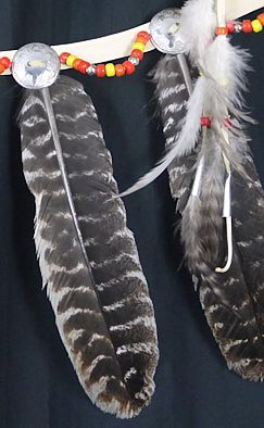 closeup of conchos and feathers