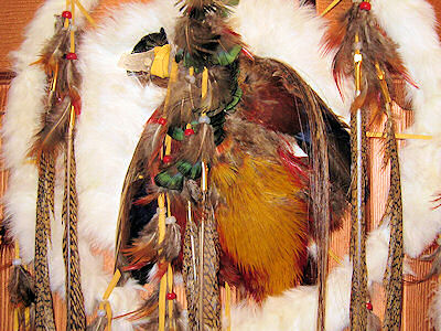 detail of golden pheasant medicine shield with crystal beak