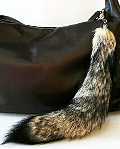 kit fox tail