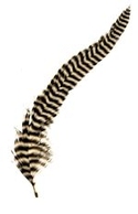 6-9" Rooster Chinchilla Tail Feathers