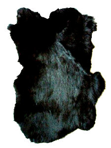 True Black Rabbit Fur Pelts