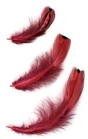 Dyed Coral Pheasant Heart Plumage