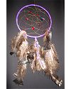 Purple and Red Dreamcatcher