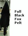 Black Fox Pelt