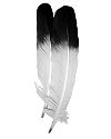 Better Quality Imitation Eagle Feathers, Pkg of 5