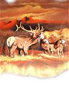 Bugling Elk Painted on Goat Hide
