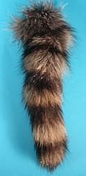 Medium Prime Natural Raccoon Tail with Ball Chain Fastener