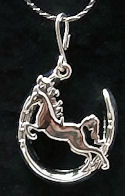Horse in Horseshoe Necklace