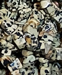 50 Dalmation Jasper Chip Beads