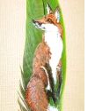 Matted and Framed Curious Fox Original Feather Painting