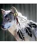 3 Feather Wolf Shower Curtain