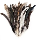 7-10" Natural Chinchilla Rooster Coque Tails