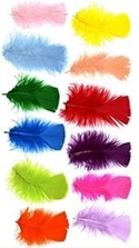 3-5" Dyed Assorted Colors Loose Turkey Plumage