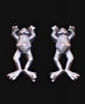 Dangling Frogs Post Earrings