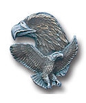 Eagle head with flying eagle enamel pin