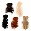 3-5" Dyed Earth Mix Loose Turkey Plumage
