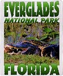 Everglades National Park Throw Blanket