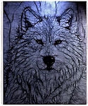 Gray Wolf Vertical Throw Blanket