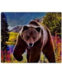 Grizzly Bear Territory Throw Blanket