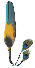 Macaw Smudging Feather with Peacock Trim