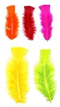3-5" Dyed Fluorescent Mix Loose Turkey Plumage
