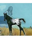 Nez Perce Pony Shower Curtain