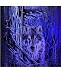 Night Warrior Wolf Shower Curtain