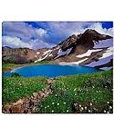 Olympic National Park Scenic Throw Blanket