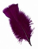 3-5" Dyed Purple Loose Turkey Plumage