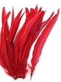 9-12" Dyed Red Rooster Coque Tails