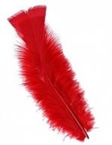 3-5" Dyed Red Loose Turkey Plumage