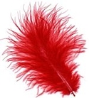3-8" Red Dyed Loose Turkey Marabou