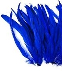 9-12" Dyed Royal Blue Rooster Coque Tails