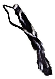 Skunk Fur Quiver (Also available in other furs)