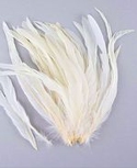 15-18" White Rooster Coque Tails