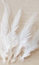 3-6" White Loose Rooster Hackles