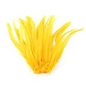 7-10" Dyed Gold Rooster Coque Tails