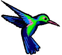 meaning of hummingbird symbol