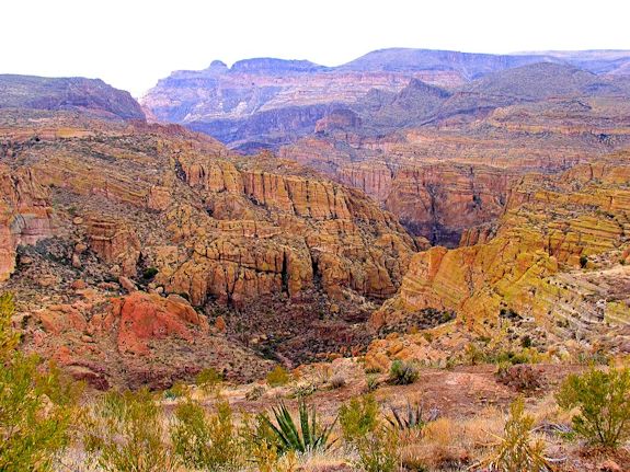 Tonto National Forest on San Carlos Indian Reservation