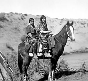 Ma'amin Nez Perce horse