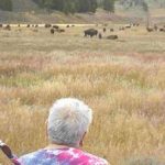 Dr. Henrietta Mann faces the buffalo herd and offers her prayers and songs